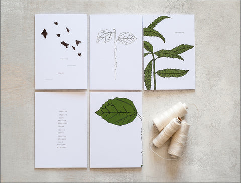 10 Handmade Any Occasion Set of Cards