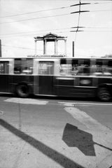 Polufloisboio - Deep-Resounding 6