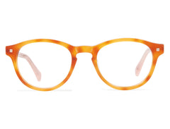 Honey Tortoise