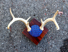 Blue Rope