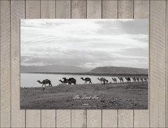 The Dead Sea, 1959 (Poster)