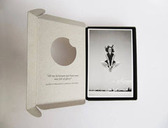 Pack of 20 Postcards of Israel 1936-1960