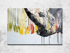Rhino