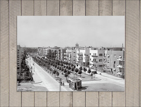 Rothschild Blvd., 1936 (Poster)