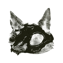 Skull I