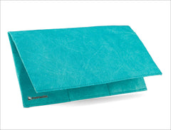Solid - Mint Clutch