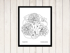 Succulents - Crassula 'Celia' yuli serfaty drawing