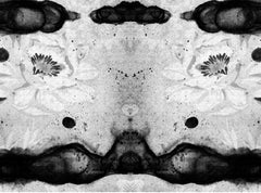 Black & White Flower Print