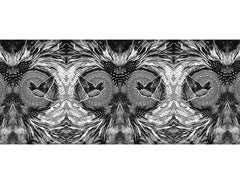 Black and White Bird Scarf