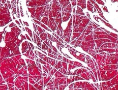 Neurons' Web