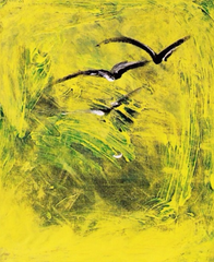 Soaring