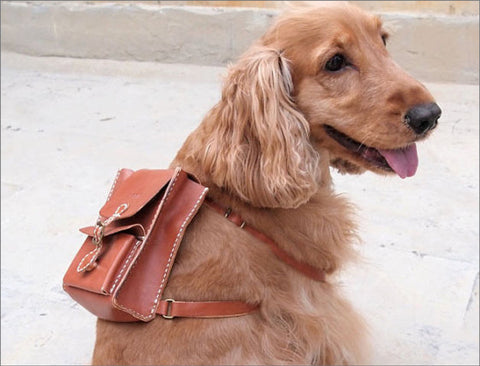 Personalized Leather Dog Backpack