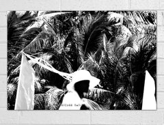 Untitled, 2009