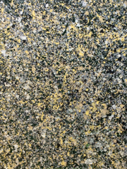 Conglomerate Rock