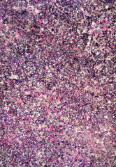 Purple Rain