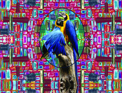 Parrot Printed Scarf