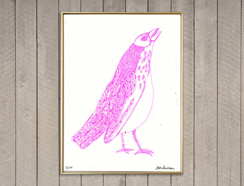 Flash Pink Bird Screen Print