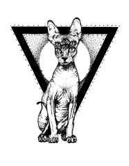 Six Eyed Cat