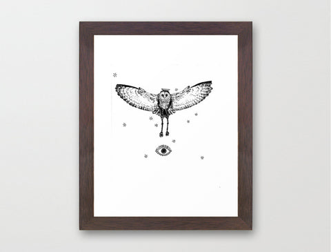 Stolas Owl